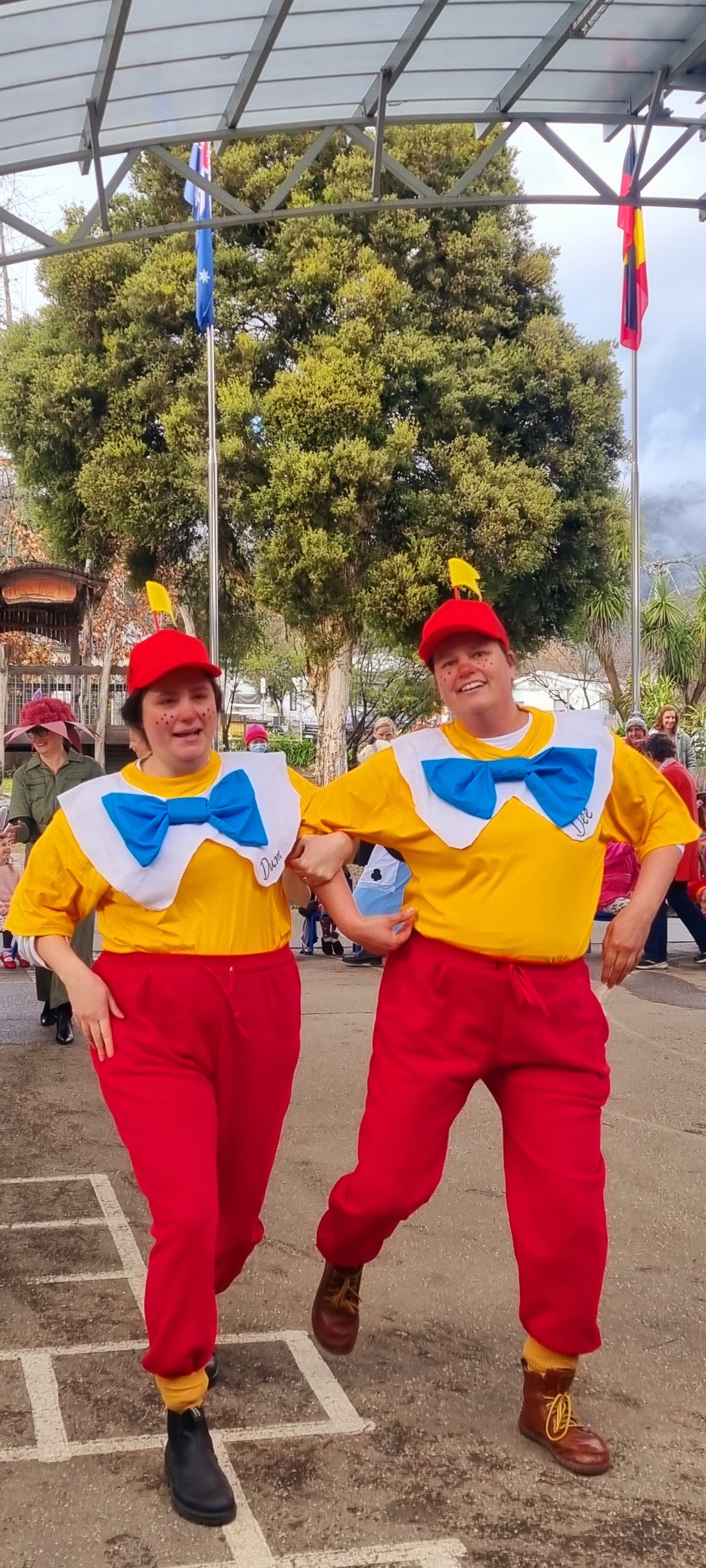 /uploaded_files/media/gallery/1785980651Term3 bookweek tweedels.jpg